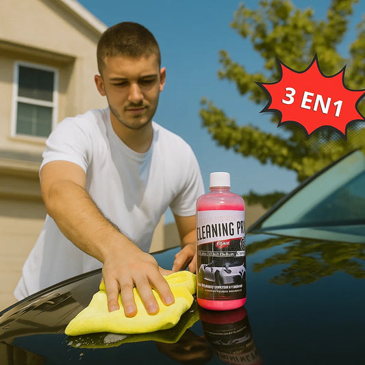 CLEANING PRO