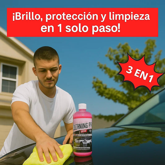 CLEANING PRO