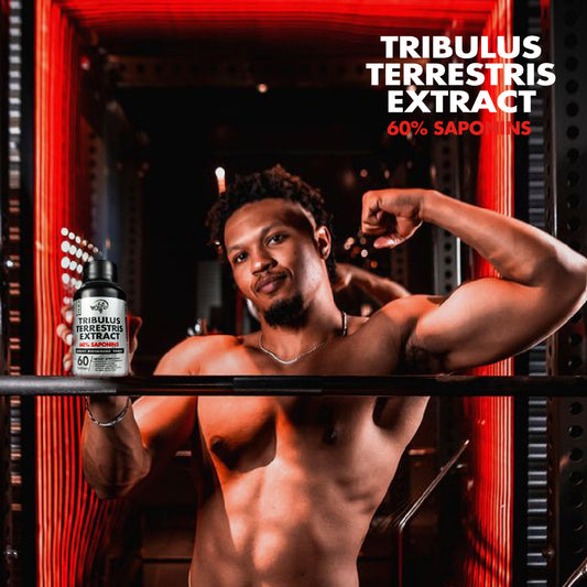 TRIBULUS TERRESTRIS EXTRACT